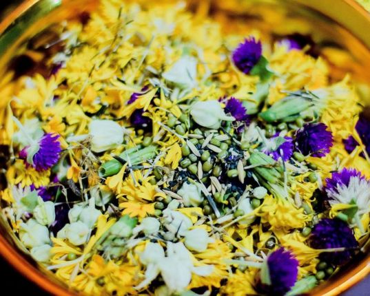 Ayurveda : quels aliments privilégier pour alléger kapha ?