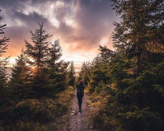 La marche en conscience : quand chaque pas devient yoga !