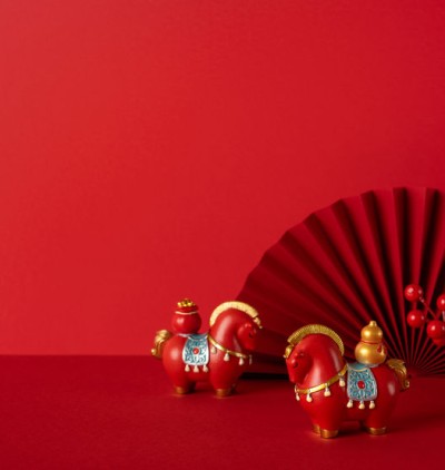 Nouvel An chinois 2026 : Le Cheval de Feu Chin Mudra