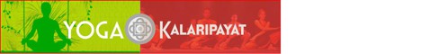 Academie Tourangelle de Yoga et Kalarippayat Academie Tourangelle de Yoga et Kalarippayat