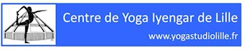 Centre de Yoga Iyengar de Lille (Yoga Studio du Vi