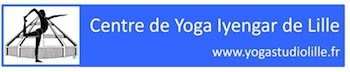 Centre de Yoga Iyengar de Lille (Yoga Studio du Vi Centre de Yoga Iyengar de Lille (Yoga Studio du Vi