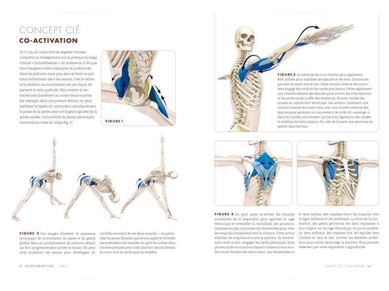 Anatomy of Standing Postures and Vinyasa Ray Long