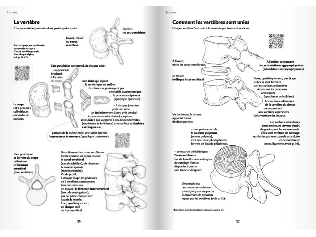Anatomie pour le Mouvement - Introduction à l'analyse des techniques corporelles Blandine Calais-Germain / François Germain