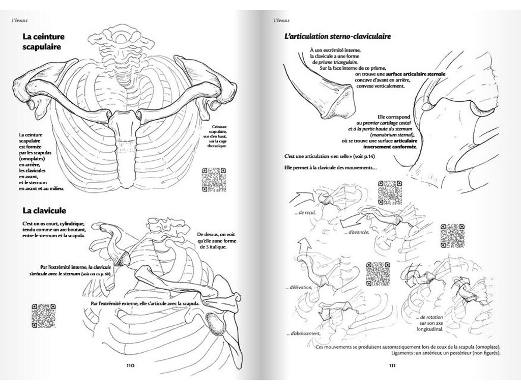 Anatomie für Bewegung – Einführung in die Analyse von Körpertechniken Blandine Calais-Germain / François Germain