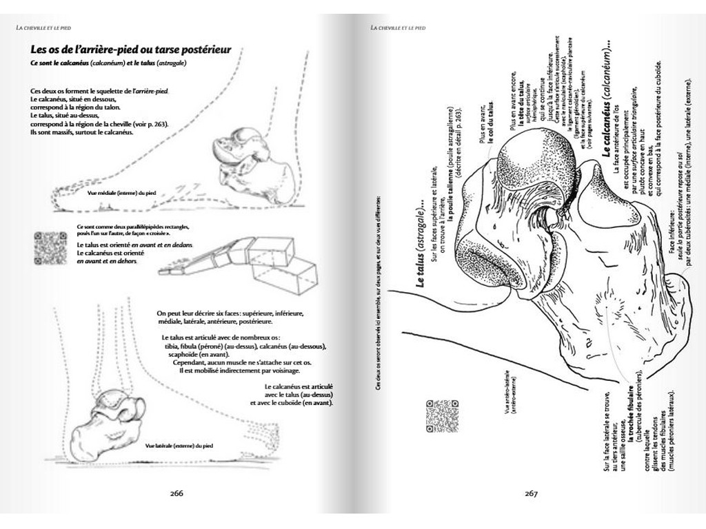 Anatomie pour le Mouvement - Introduction à l'analyse des techniques corporelles Blandine Calais-Germain / François Germain