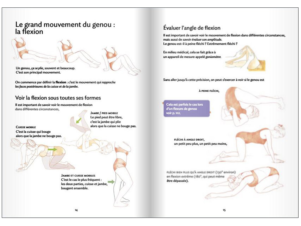 Anatomia para Yoga - Joelho e Yoga Blandine Calais-Germain