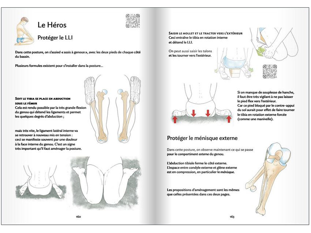Anatomie für Yoga – Knie und Yoga Blandine Calais-Germain