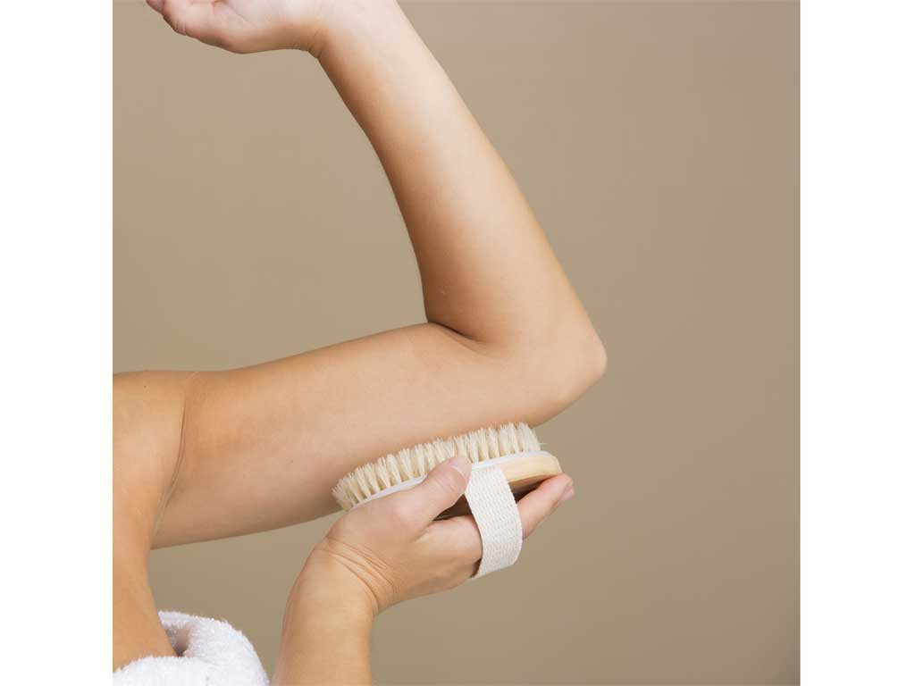 Fiber Body Brush Tampico