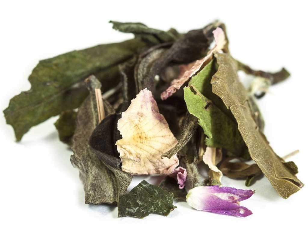 Dhyana EAU Thé de Méditation 50g