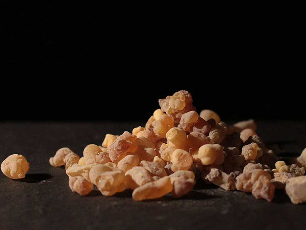 Encens Oliban Au gramme