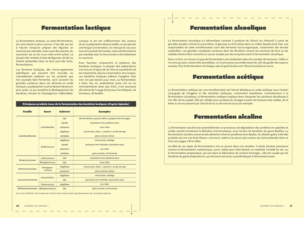 L'Art de la Fermentation - L'encyclopédie Gourmande Camille Oger, Luna Kyung