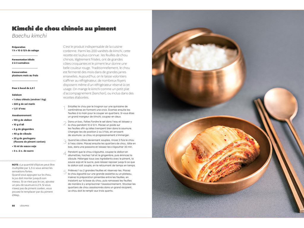 The art of fermentation - The Gourmet Encyclopaedia Camille Oger, Luna Kyung