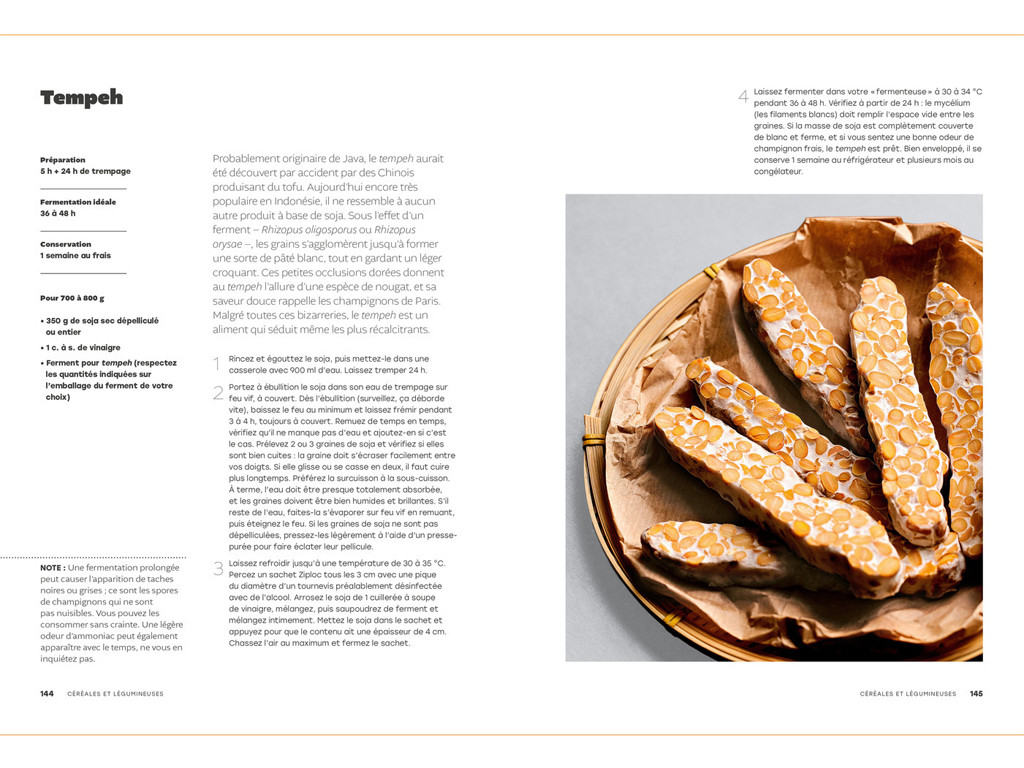 The art of fermentation - The Gourmet Encyclopaedia Camille Oger, Luna Kyung