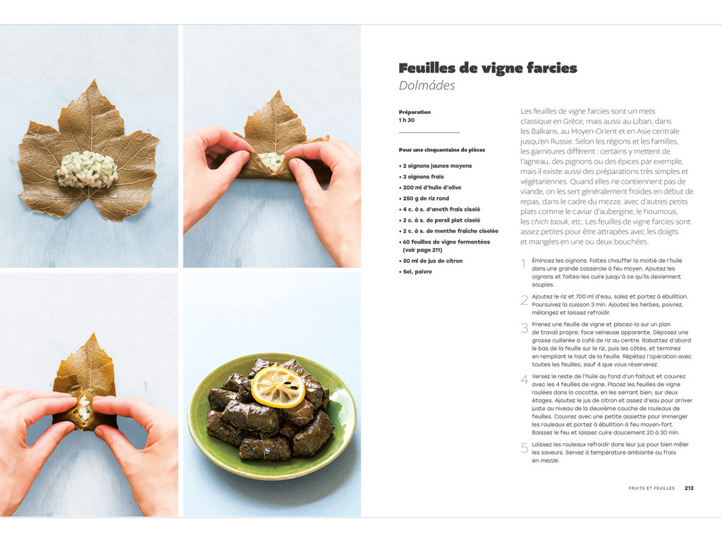 The art of fermentation - The Gourmet Encyclopaedia Camille Oger, Luna Kyung