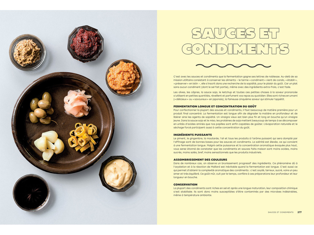 L'Art de la Fermentation - L'encyclopédie Gourmande Camille Oger, Luna Kyung