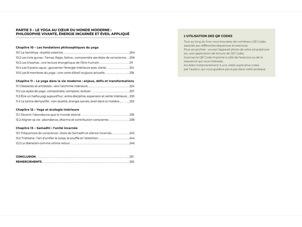 Le Yogi Moderne Mathieu Boldron