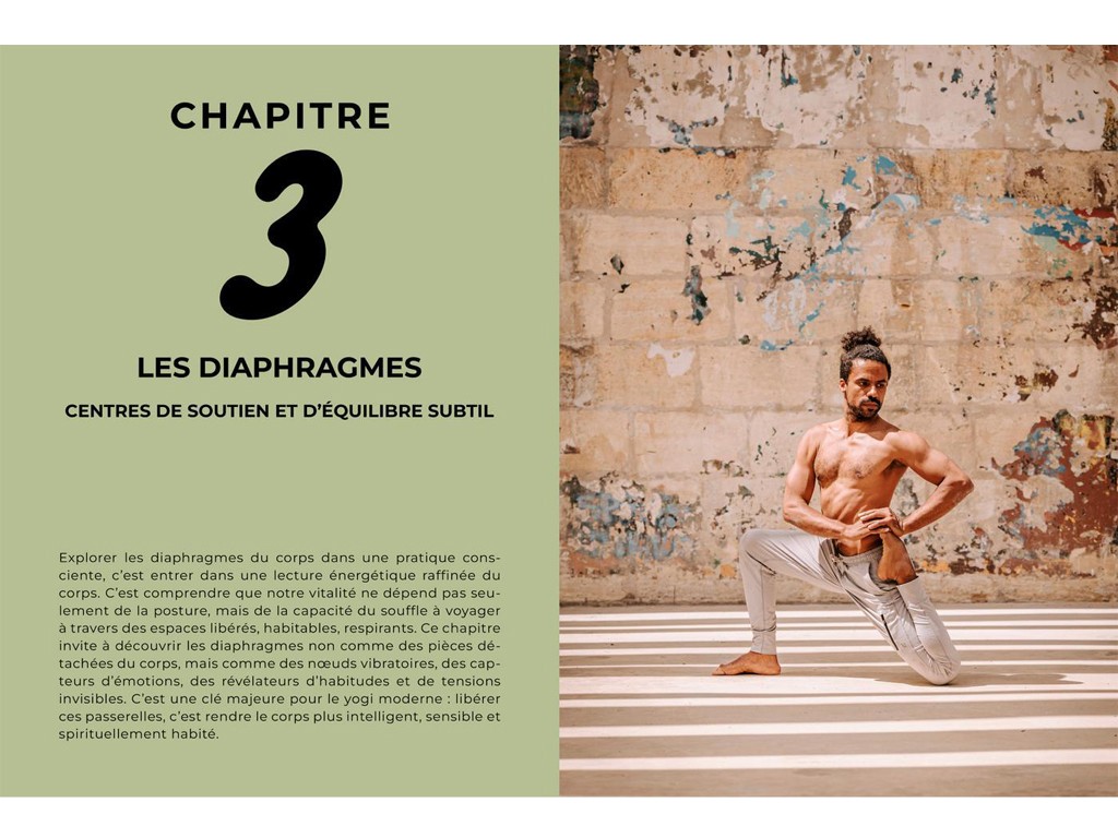 Le Yogi Moderne Mathieu Boldron