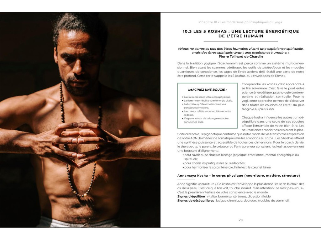 Le Yogi Moderne Mathieu Boldron