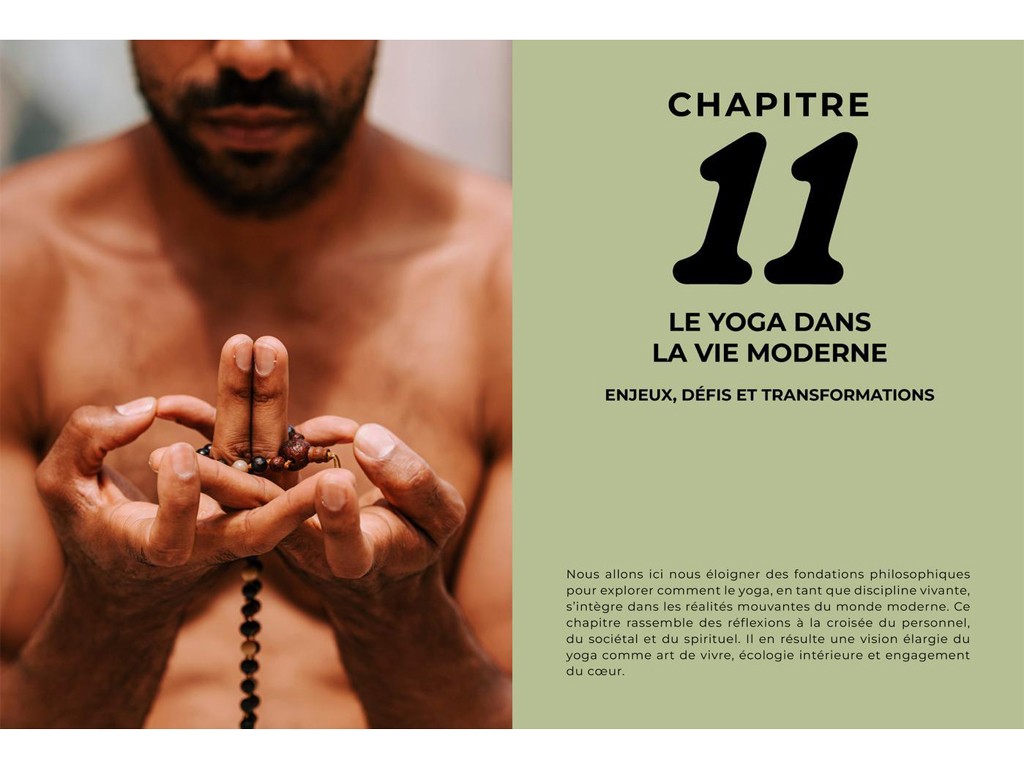 Le Yogi Moderne Mathieu Boldron