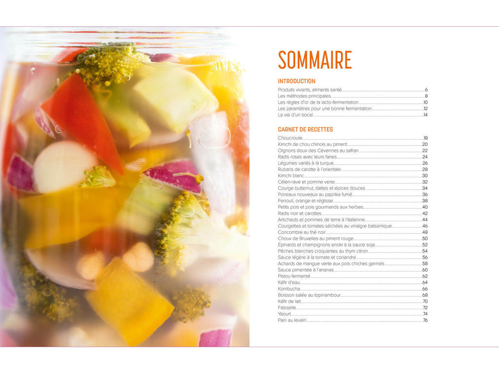Les secrets de la lacto-fermentation Camille Oger, Luna Kyung