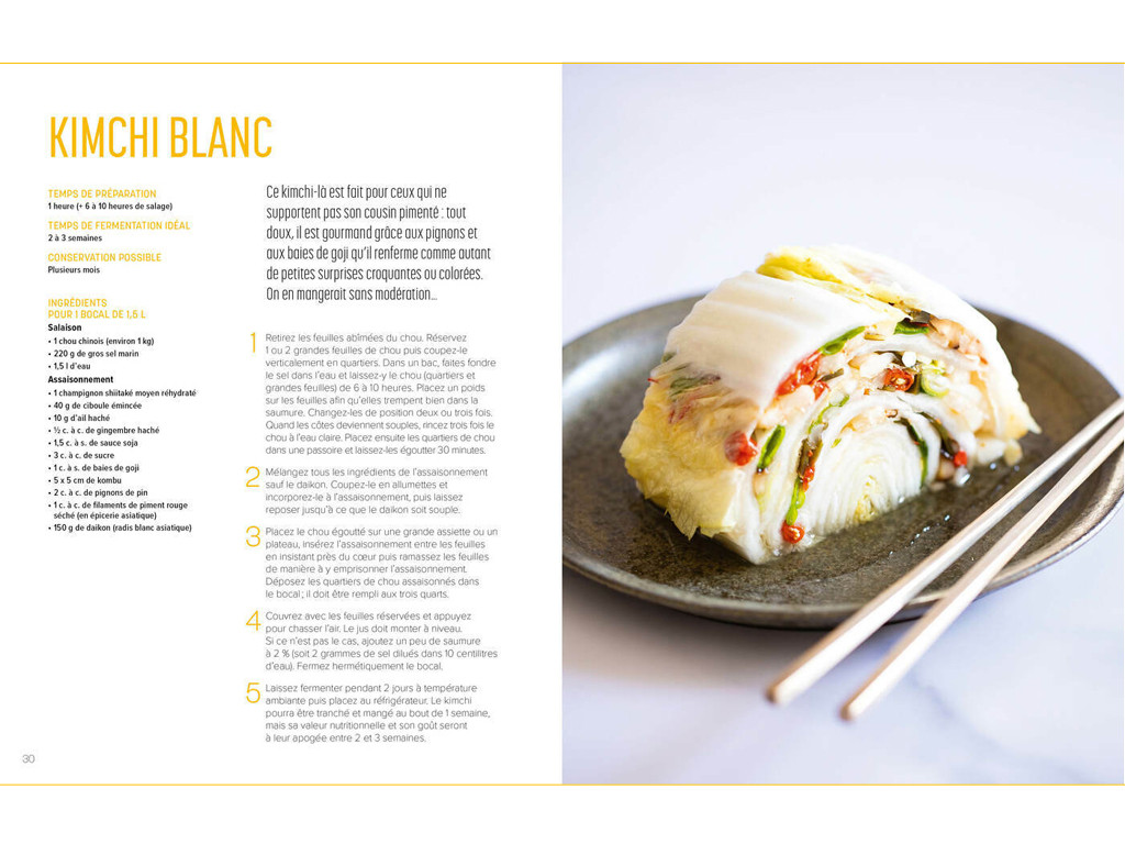 Los secretos de la lactofermentación Camille Oger, Luna Kyung