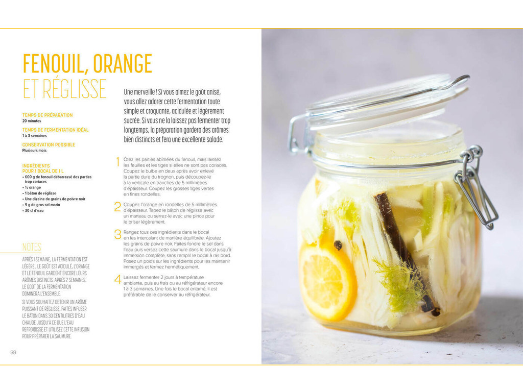 Les secrets de la lacto-fermentation Camille Oger, Luna Kyung
