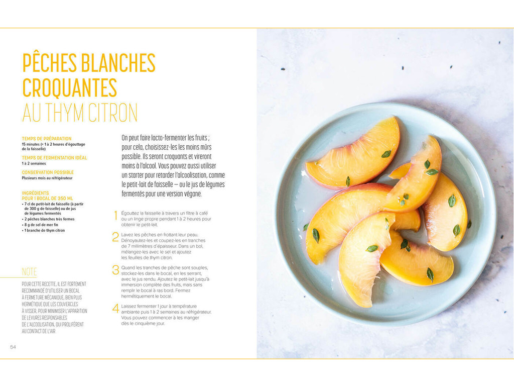 Los secretos de la lactofermentación Camille Oger, Luna Kyung