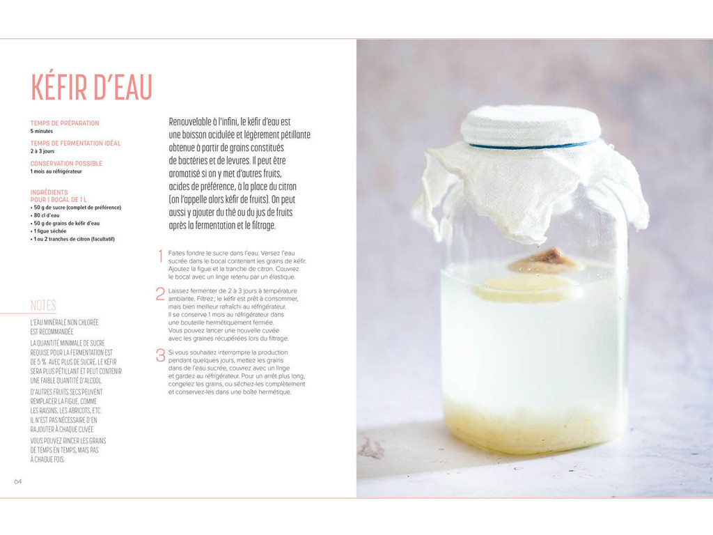 Les secrets de la lacto-fermentation Camille Oger, Luna Kyung
