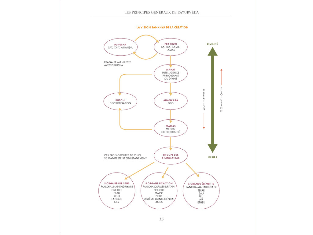 Ma bible de l'ayurveda - édition de luxe Nathalie Ferron, Fabien Correch