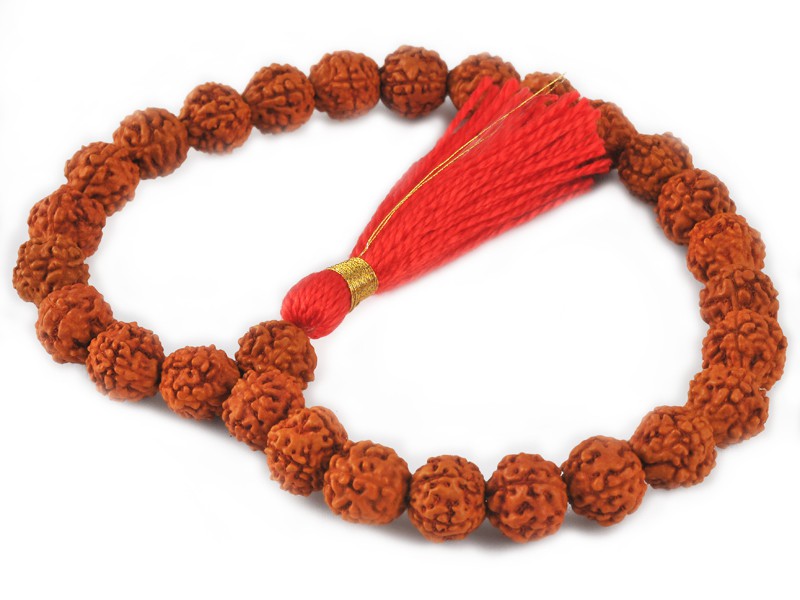 Mala 27 perles Rudraksha