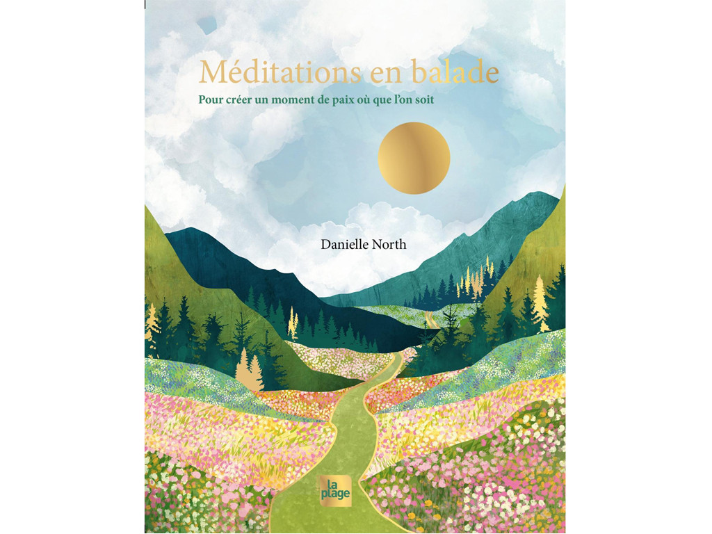 Meditaciones en movimiento Danielle North