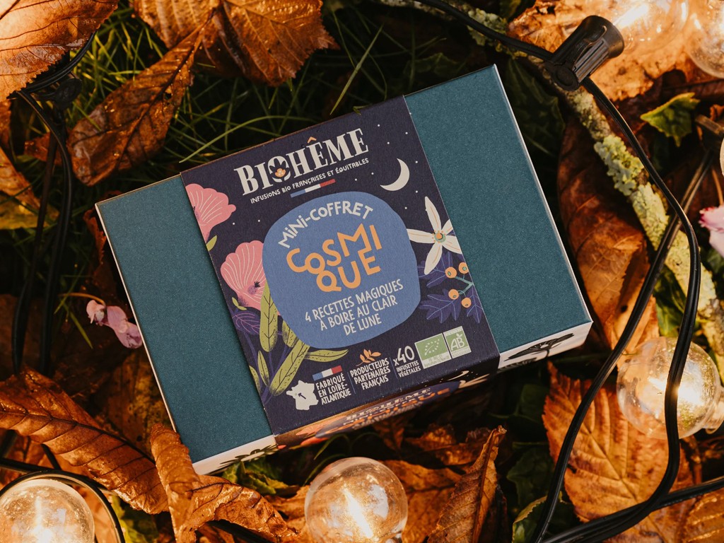 Mini coffret Cosmique bio 40 infusettes Végétales