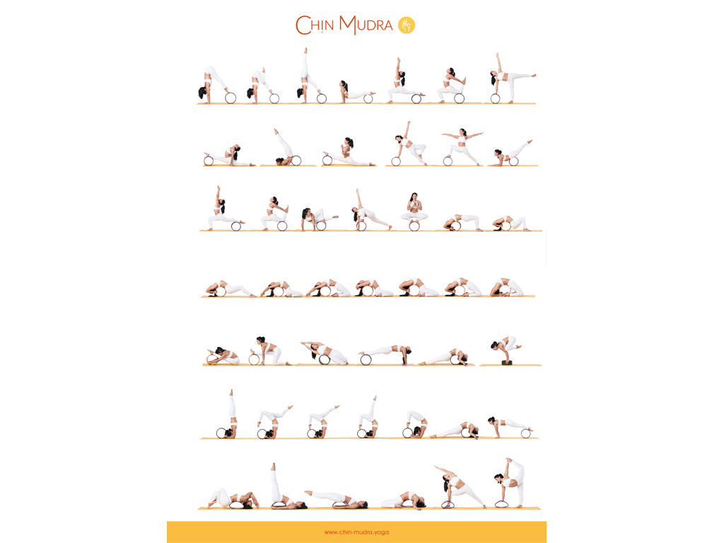 Yoga-Rad-Poster 60cm x 42cm
