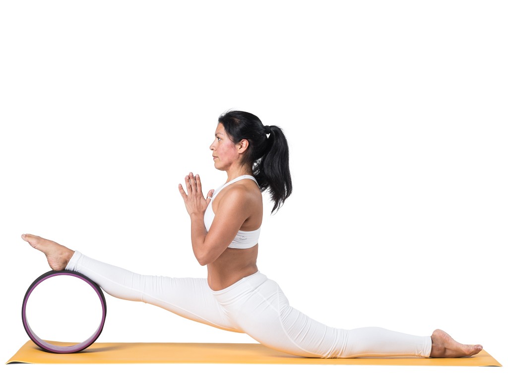 Roue Yoga - Prune/Noir 32cm x 13cm