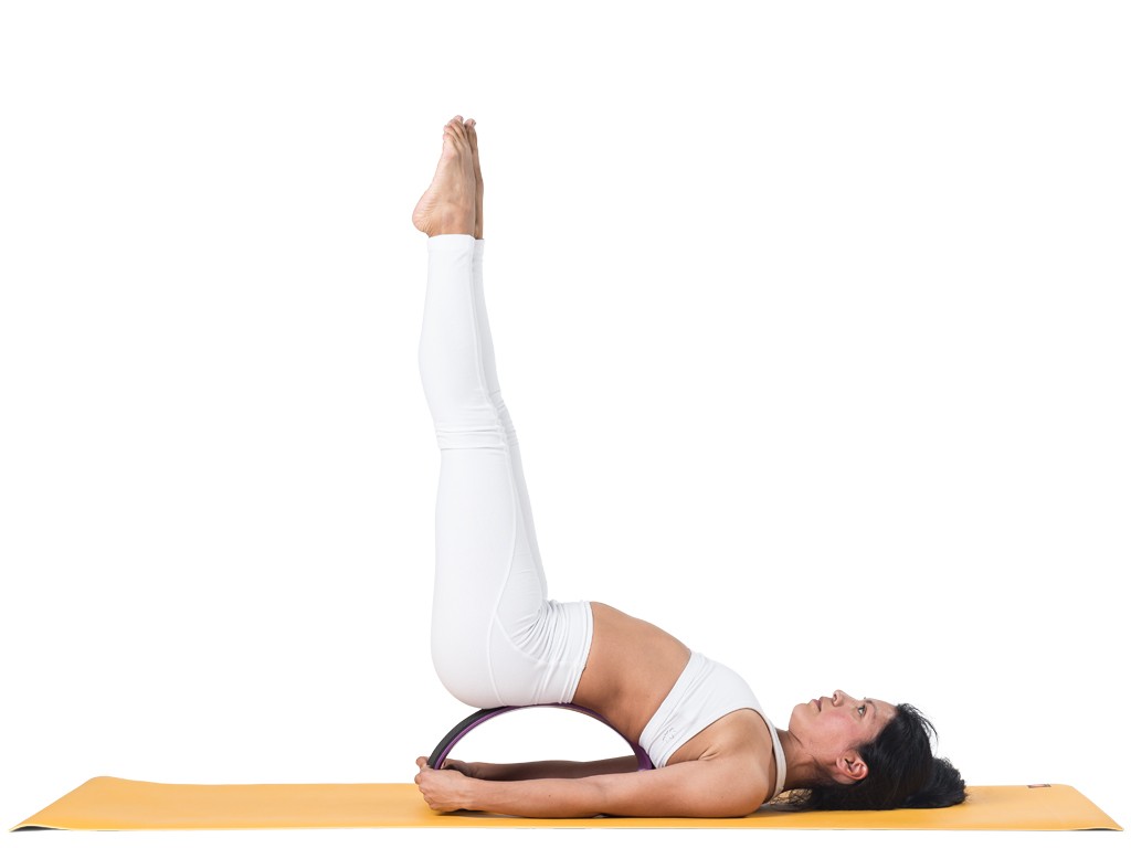Roue Yoga Tri-Wheel - Prune/Noir L38cm x L13cm x H20cm