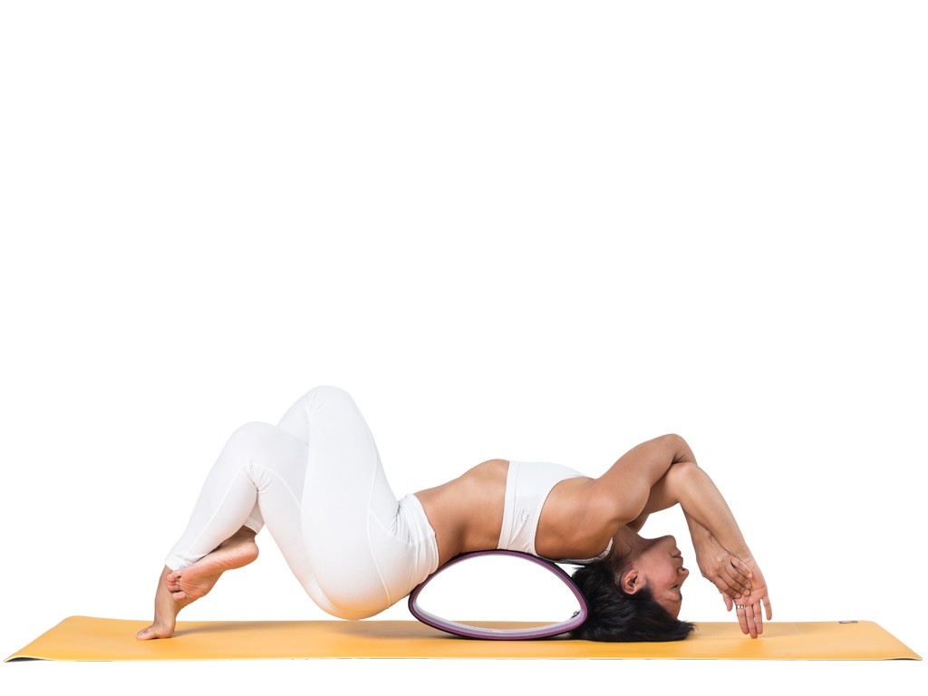 Roue Yoga Tri-Wheel - Prune/Noir L38cm x L13cm x H20cm