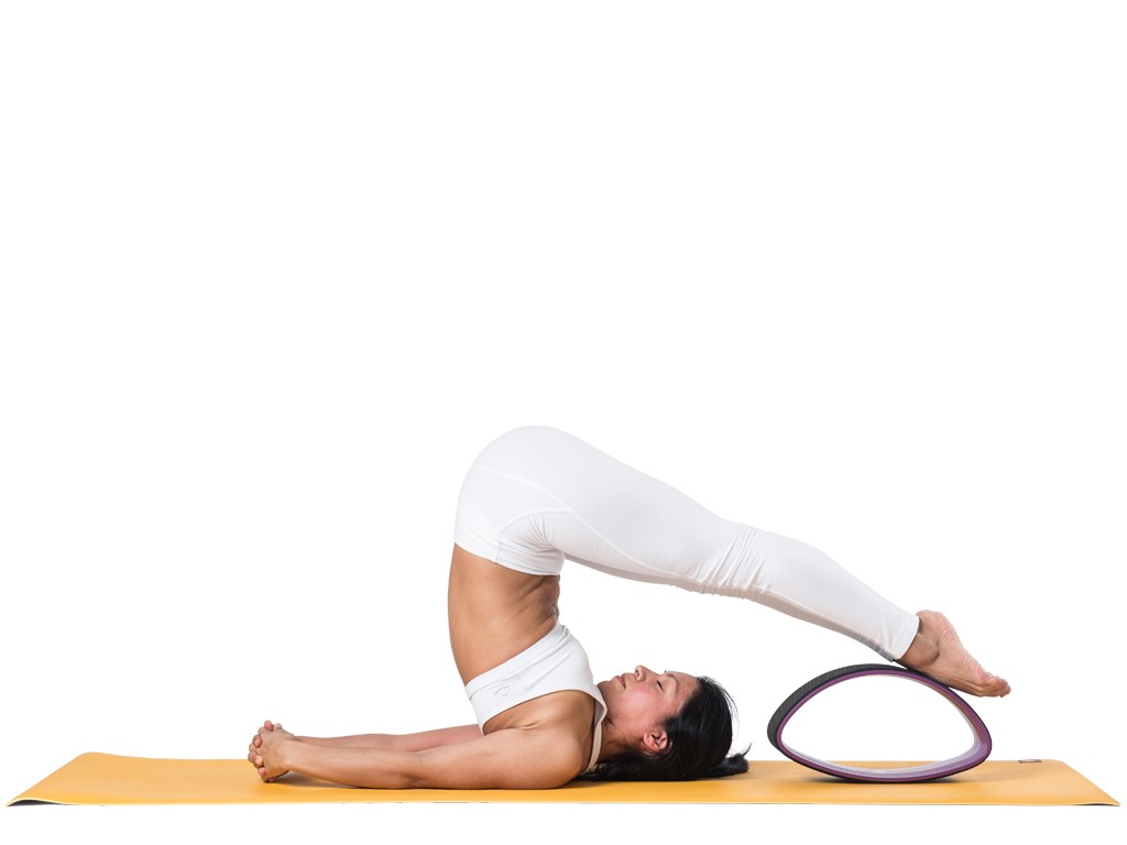 Roue Yoga Tri-Wheel - Prune/Noir L38cm x L13cm x H20cm