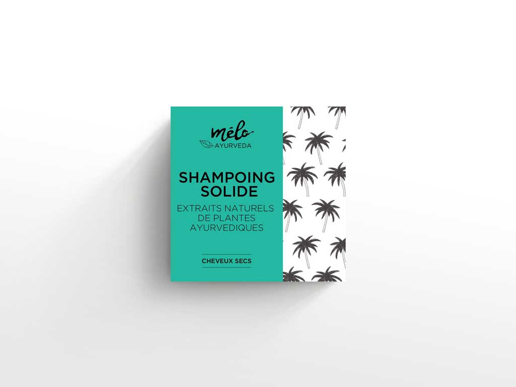 Shampoing Solide Cheveux Secs
