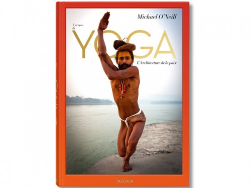 Article de Yoga A propos du yoga : L'architecture de la paix Michael O'Neil