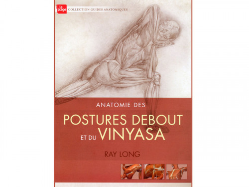 Anatomie des Postures Debout et du Vinyasa Ray Long