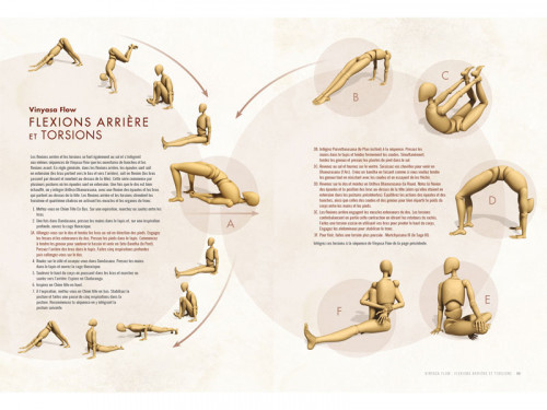 Anatomie des Postures Debout et du Vinyasa Ray Long