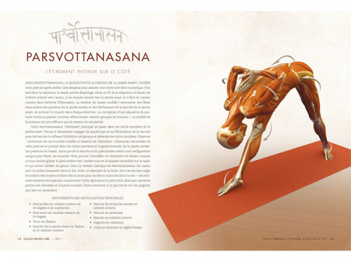 Article de Yoga Anatomie des Postures Debout et du Vinyasa Ray Long
