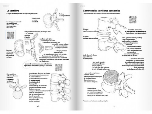 Article de Yoga Anatomie pour le Mouvement - Introduction à l'analyse des techniques corporelles Blandine Calais-Germain / François Germain