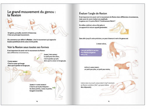 Anatomie pour le Yoga - Genou et Yoga Blandine Calais-Germain