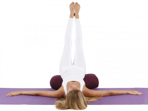 Article de Yoga Bolster de yoga Ovale KAPOK 100 % coton Bio 60cm x 15cm x 30cm Prune
