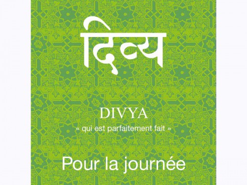 Article de Yoga Divya-Pour la Journée Cure de 80 sachets x 1.5gr