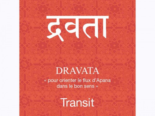 Article de Yoga Dravata-Transit Cure de 80 sachets x 1.5gr