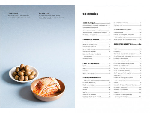L'Art de la Fermentation - L'encyclopédie Gourmande Camille Oger, Luna Kyung