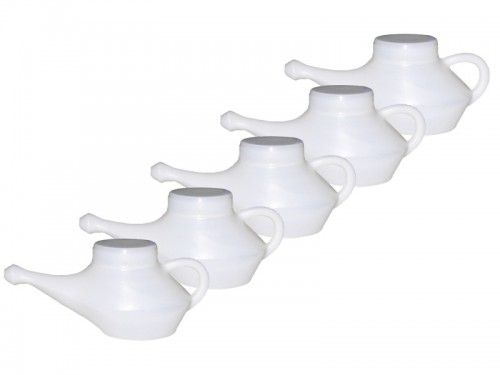 Lot de 12 Lotas de voyage XL Satguru 350 ml